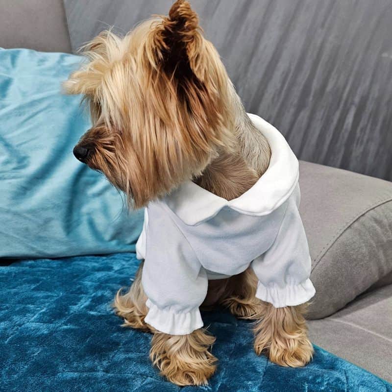 yorkie white shirt