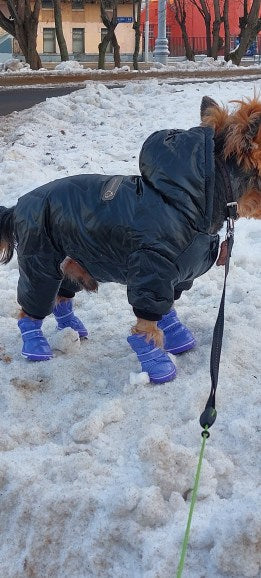 4-pcs-sets-waterproof-yorkie-boots