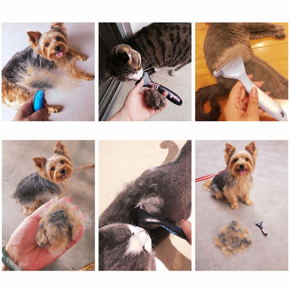 Yorkie Dog Brush