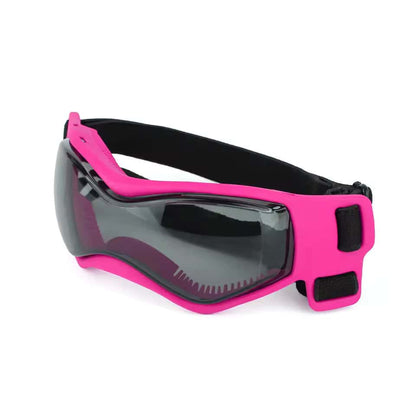 Yorkie Goggles