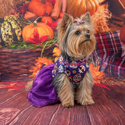 Yorkie Halloween Costume Dress