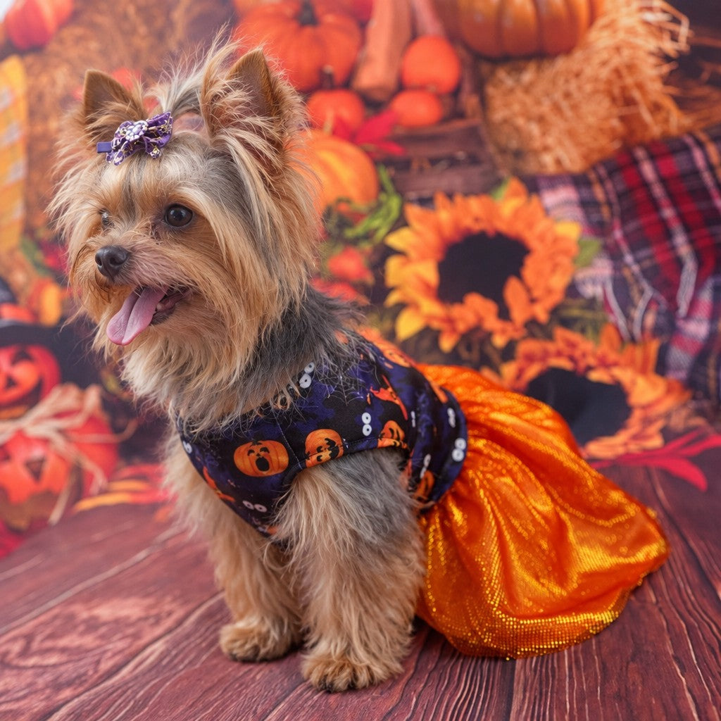 Yorkie Halloween Costume Dress