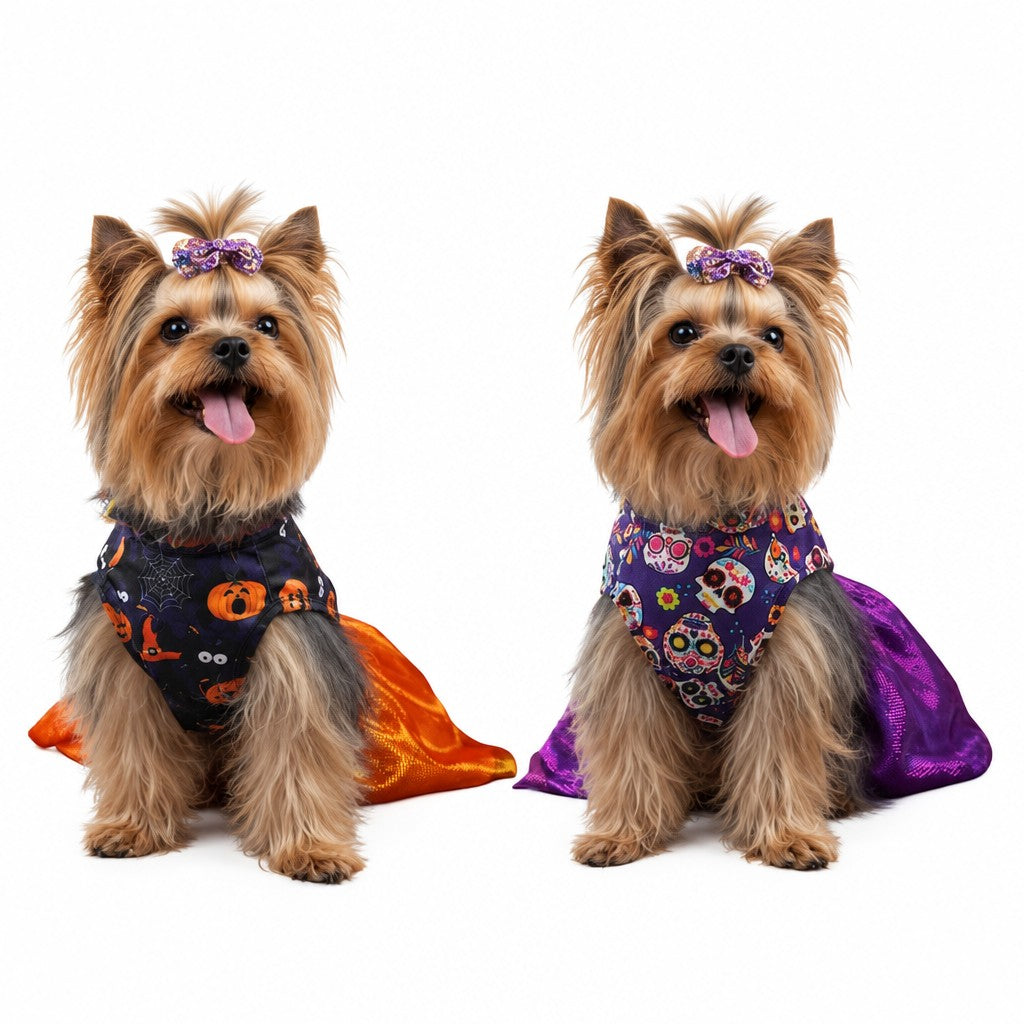Yorkie Halloween Costume Dress