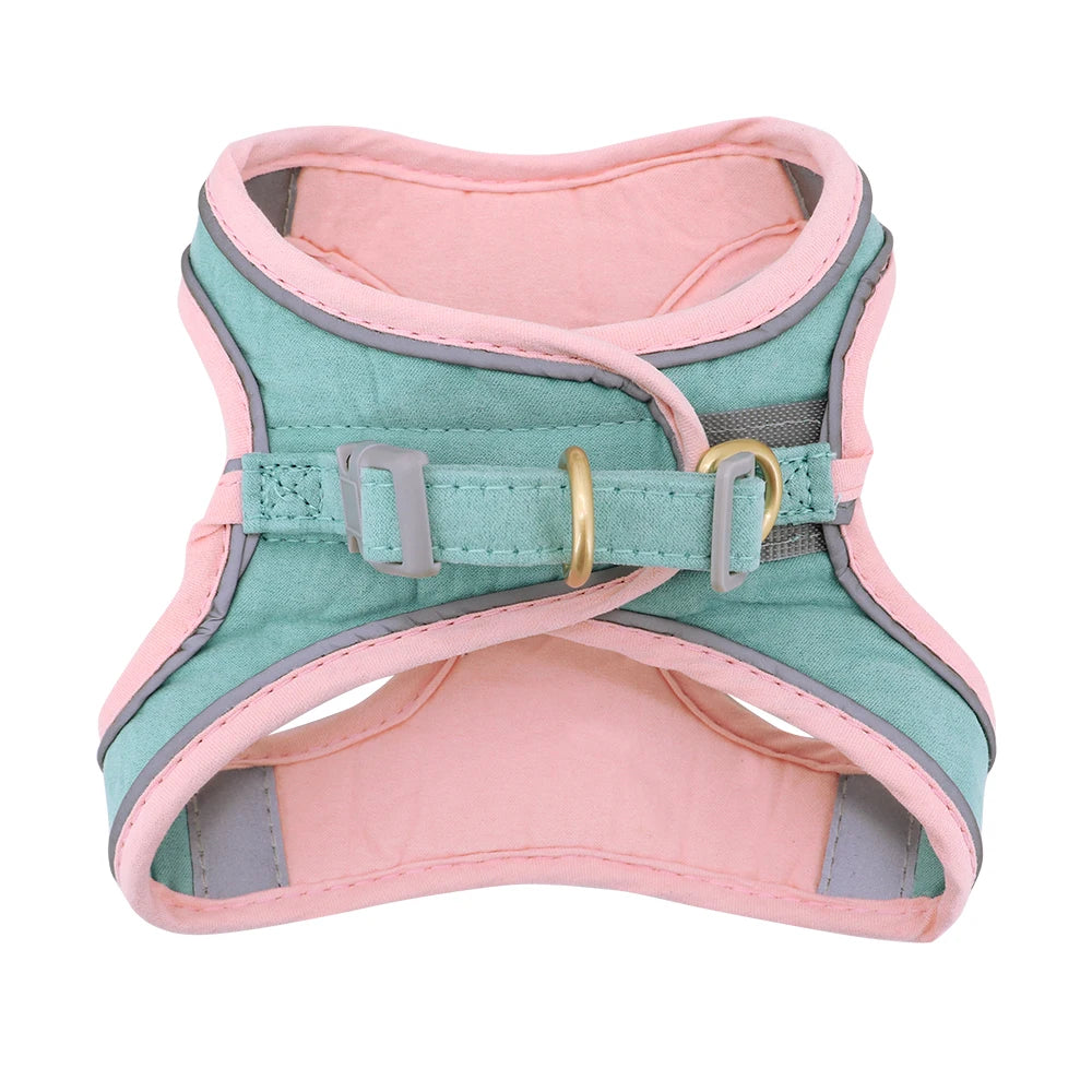 summertime yorkie harness