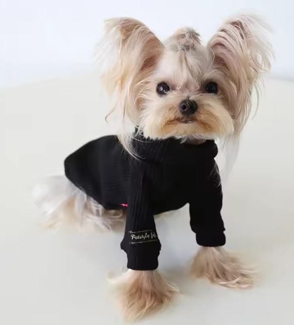 Knit Yorkie Sweater