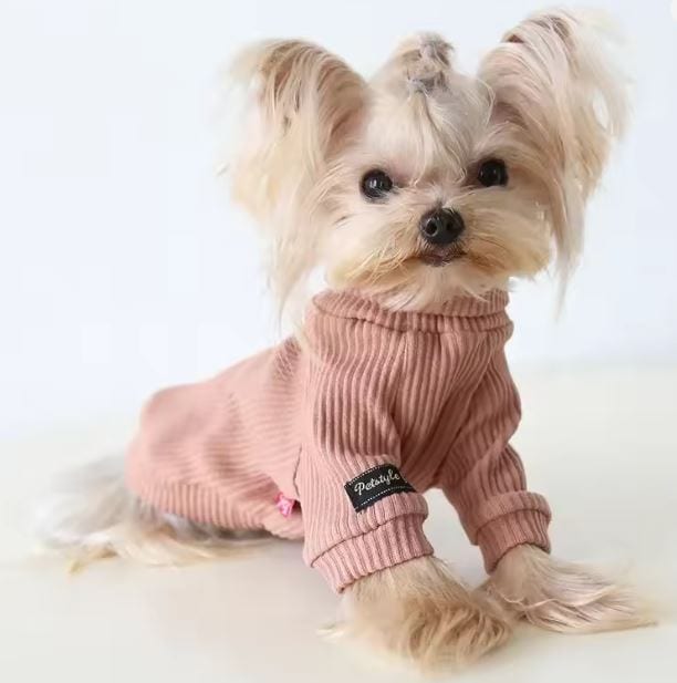yorkie knit sweater