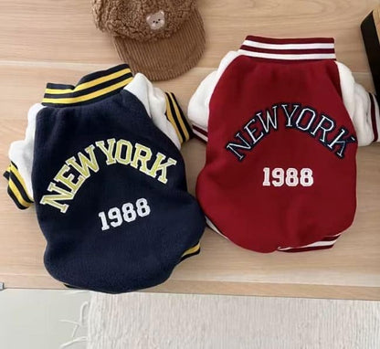 yorkie baseball jacket