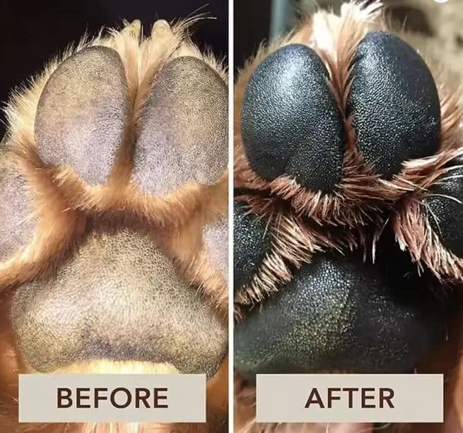 Yorkie SOS Paw Balm