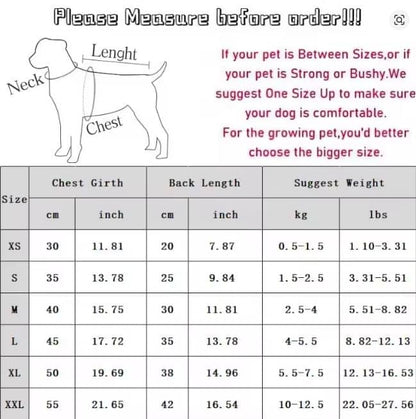 yorkie polo chart size