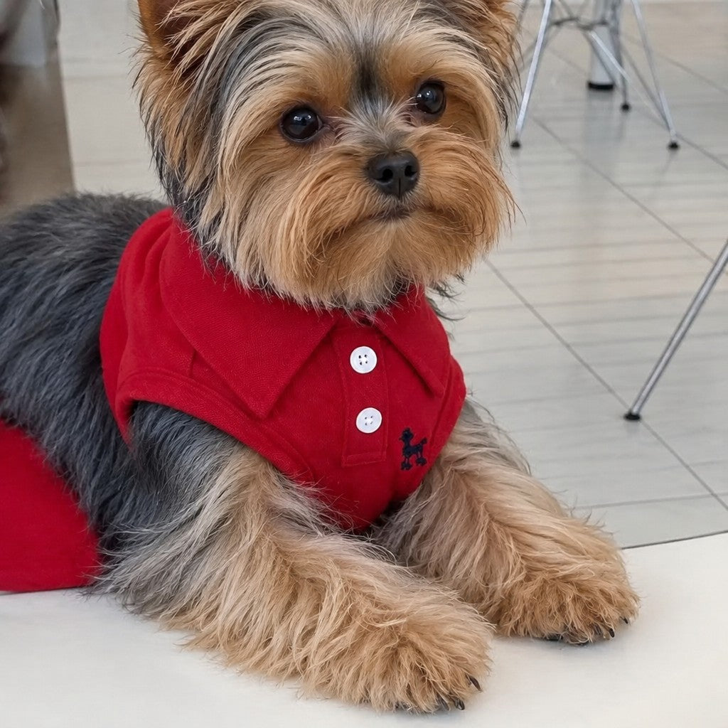 Yorkie Polo T-Shirt