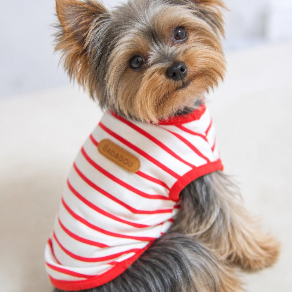 Yorkie Summer Casual T-shirt