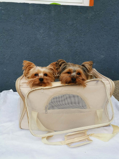 yorkies gram mesh yorkie carrier bag
