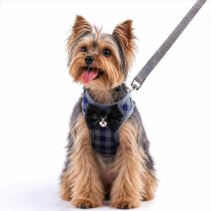 Yorkie Vest Harness and Leash Set