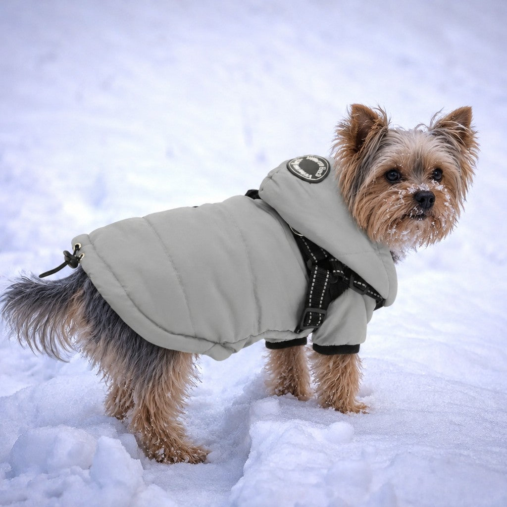 Yorkie Winter Harness Jacket