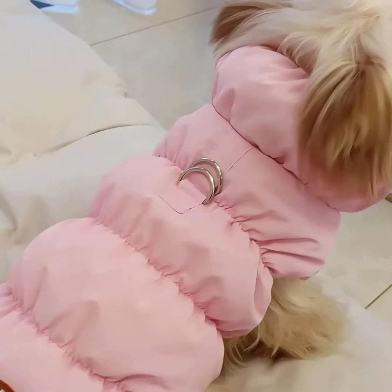 Yorkshire Terrier in a pink winter puffer jacket - close-up