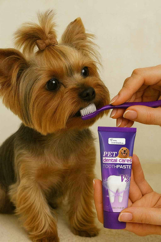 Yorkshire Terrier Toothpaste yorkie care products