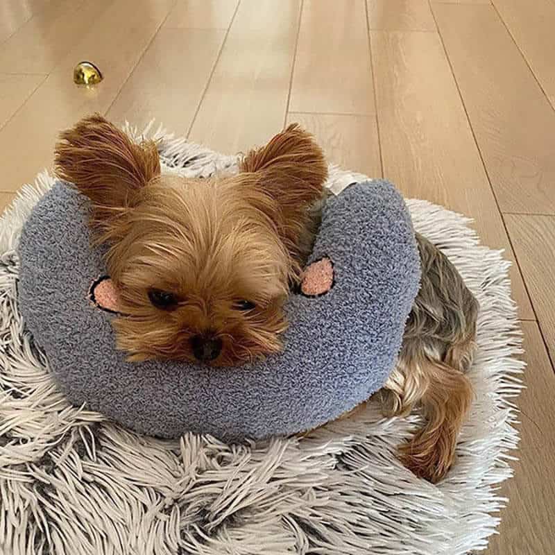 yorkies gram anxiety yorkie pillow