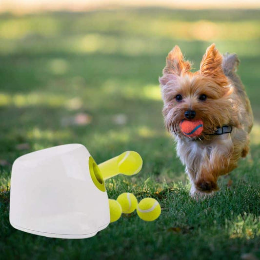 yorkies gram tennis ball launcher for yorkies
