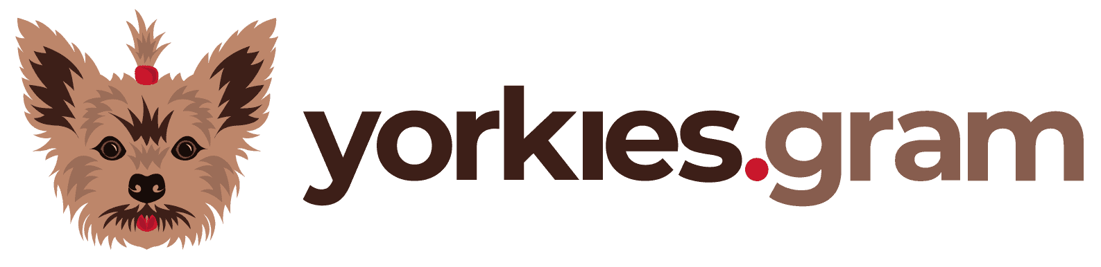 Yorkies Gram