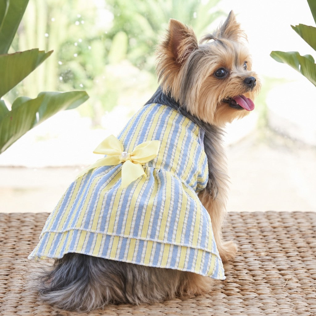 Yorkshire Terrier Princess Dresses