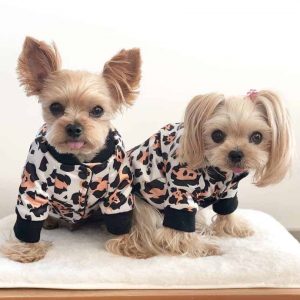 yorkie jacket