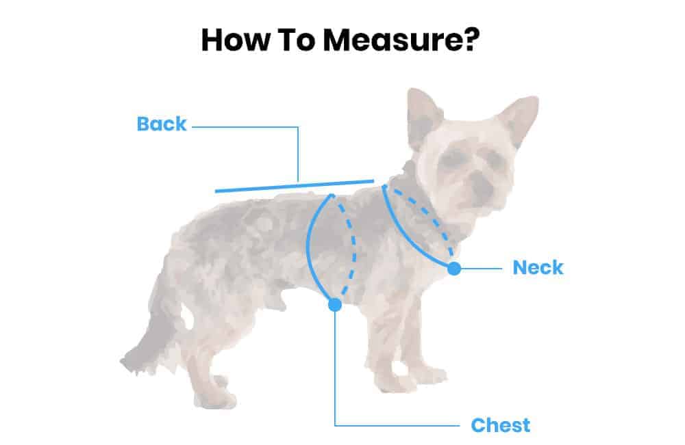 yorkies gram product size guide