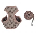 yorkie harness 1