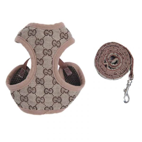 yorkie harness 1