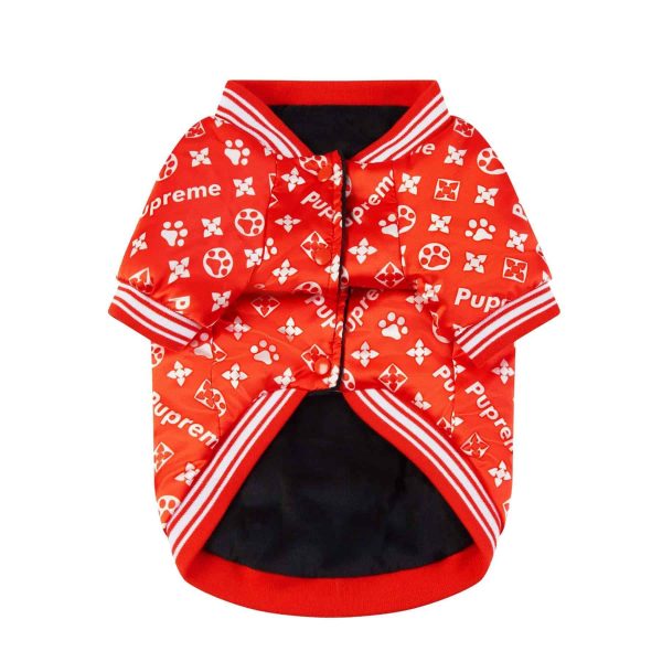 red-paw-yorkshire-terrier-jacket