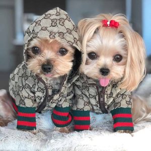 Luxury GG Hooded Jacket Designer Dog Clothes for Yorkies