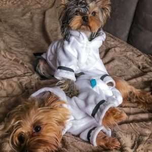 this-dog-loves-sleep-luxury-bathrobe