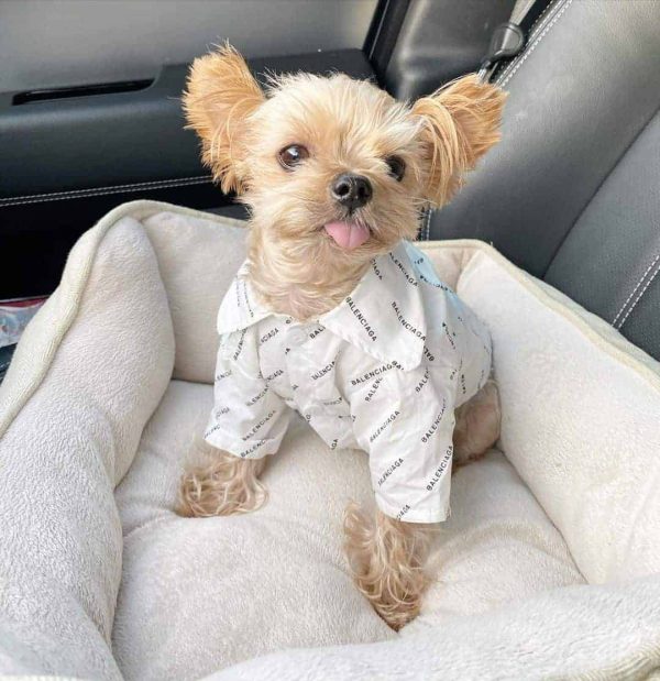 yorkie-luxury-shirt