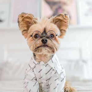 yorkie-luxury-shirt