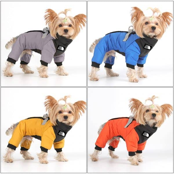 yorkie winter jackets yorkies gram