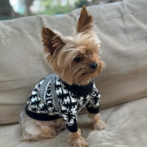 dogior-dog-sweater