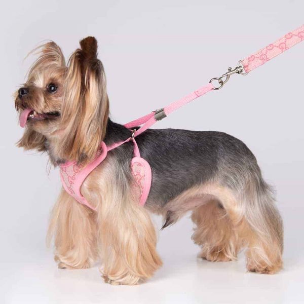 pawcci-designer-harness-with-leash-set-pink