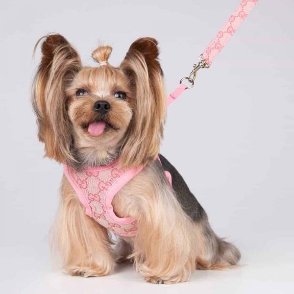 pawcci-designer-harness-with-leash-set-pink