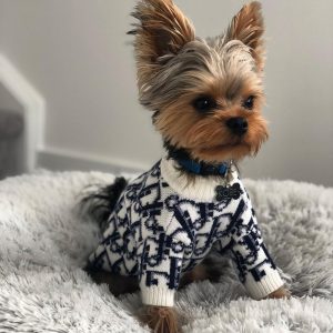 diordog-sweater