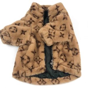 chewy-v-yorkie-coat