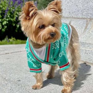 gucci-dog-sweater