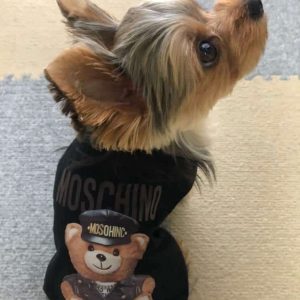 pawchino-yorkie-shirt