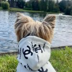 luxury chanel dog hoodie