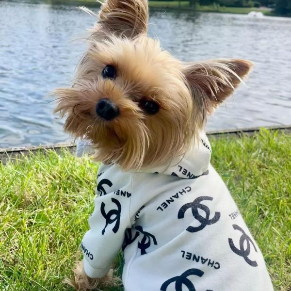 luxury chanel dog hoodie