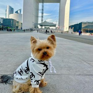 luxury chanel dog hoodie