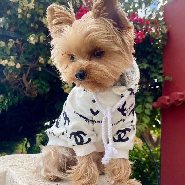 yorkies gram luxury chanel dog hoodie