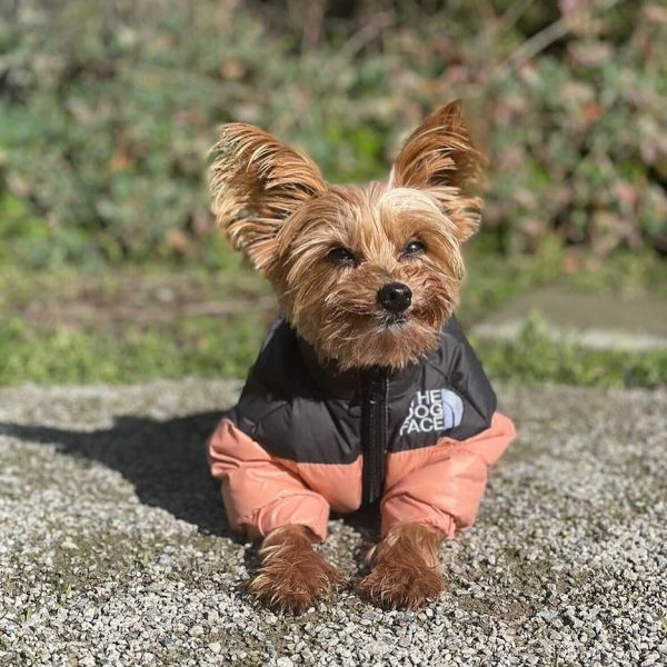 yorkies gram the dog face puffer jacket