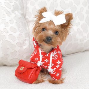 loveme-dog-hoodie-red