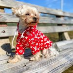 loveme-dog-hoodie-red