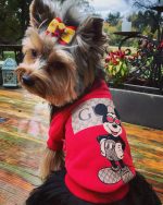 pawcci-red-dog-puppy-logo-sweater