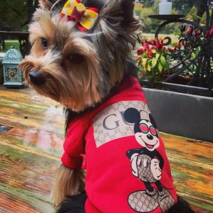 pawcci-red-dog-puppy-logo-sweater